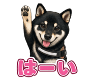 882228934