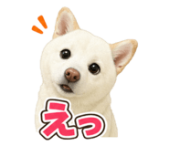 882228937