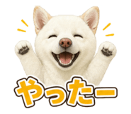 882228940