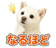 882228943