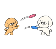 882232095