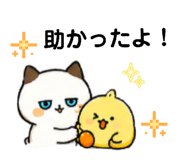 882233172