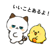 882233202