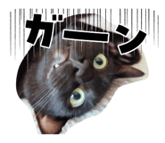 882237671