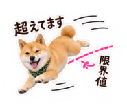 882240795