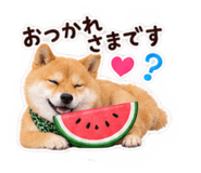 882240797