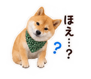 882240798