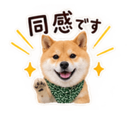 882240802