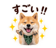 882240812