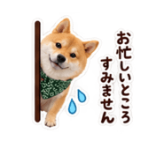 882240813
