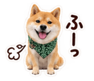 882240818
