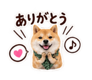 882240820