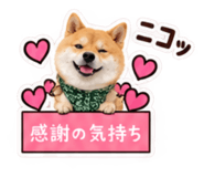 882240825