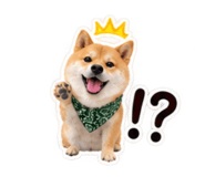 882240827