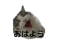 882241395
