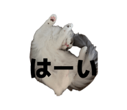 882241398