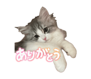 882241401