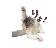 882241402