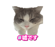 882241403