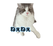 882241406
