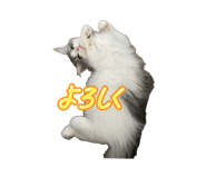 882241407