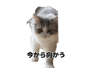 882241408