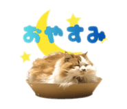 882241883