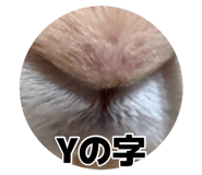882243758