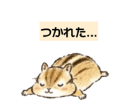 882244380