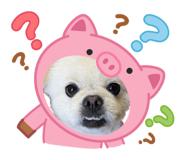 882244940