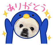 882244945