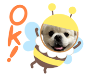 882244951