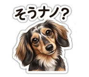 882245065