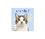 882248874