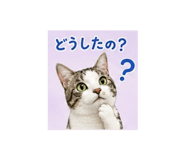 882248879