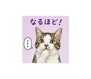 882248880