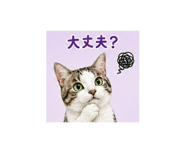 882248883