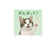 882248886