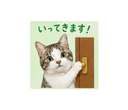 882248896