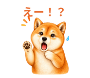 882249697