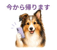 882249704