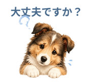882249708