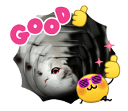 882252343