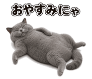 882253620