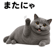 882253623