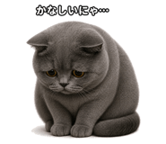 882253641