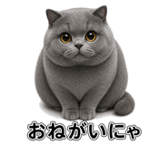 882253645