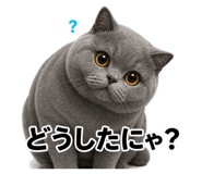 882253653