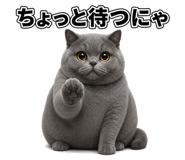 882253654
