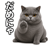 882253655